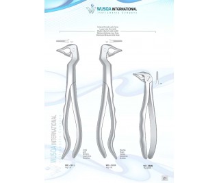 Extracting Forceps